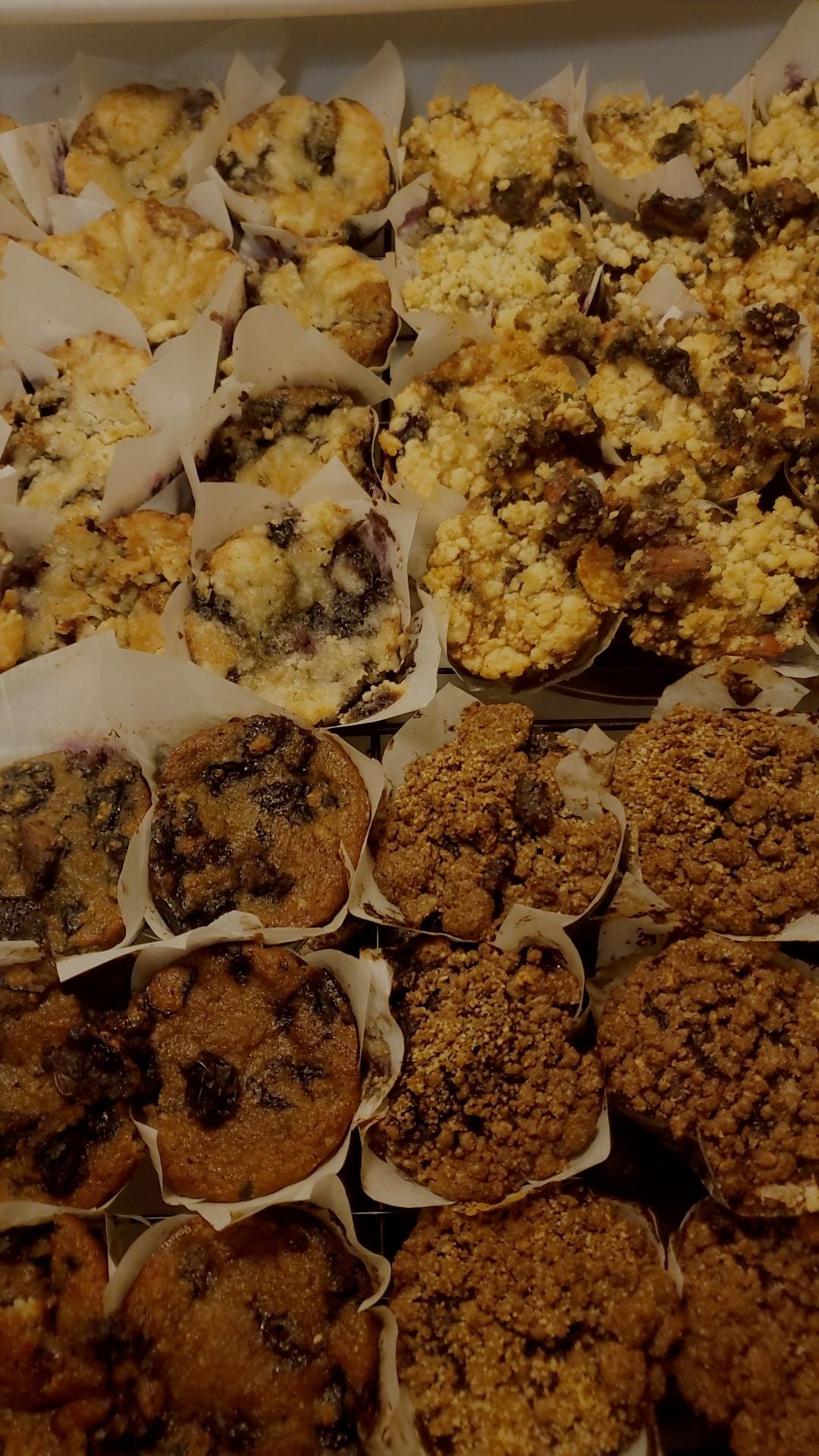 BLUEBERRY MUFFINS